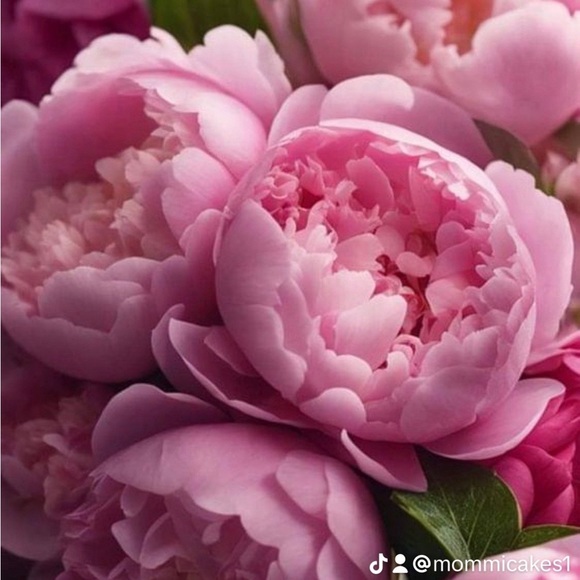 Luxury Items Curated Rare Vintage - Picture 5 of 12